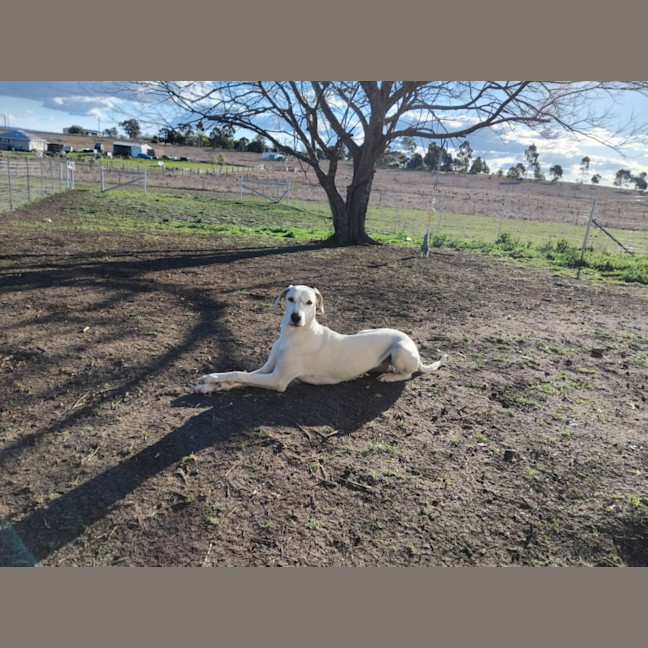 Photo of Minty