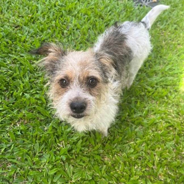 Photo of Fergus 