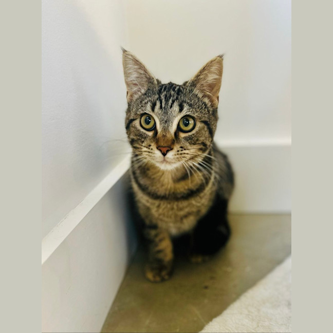 Photo of Murphy