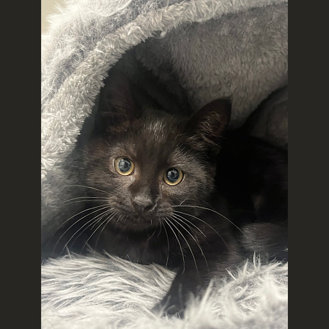 Photo of Spice