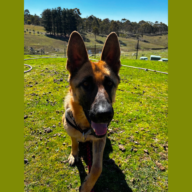 Photo of Zora
