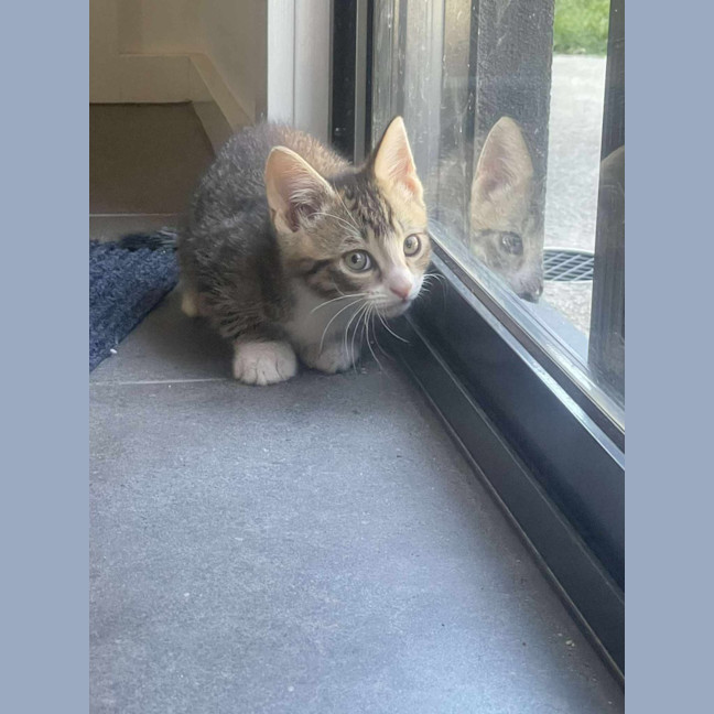 Photo of Blue