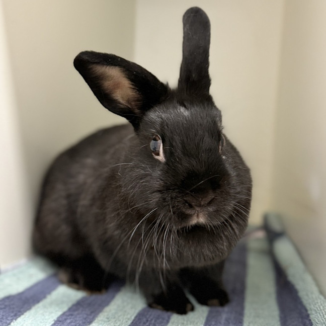 Photo of Bunny Parton