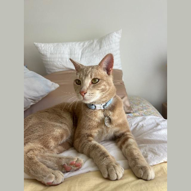 Photo of Eddie