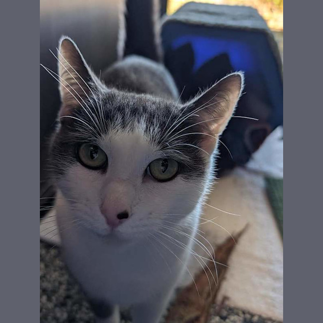 Photo of Rosie