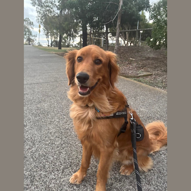 Photo of Kobe