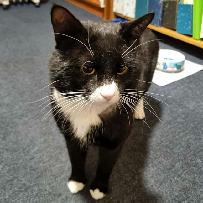 Photo of 12703   Paddy