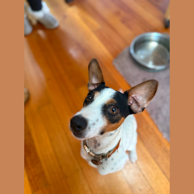 Photo of Bobby 
