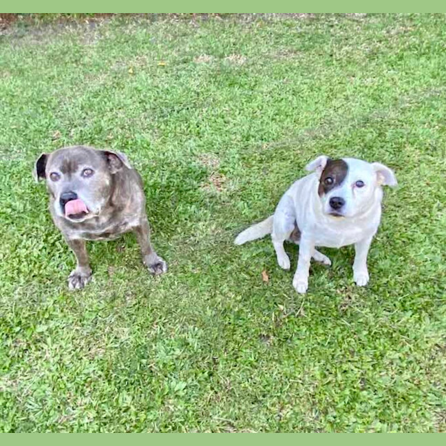 Photo of Harley And Tera