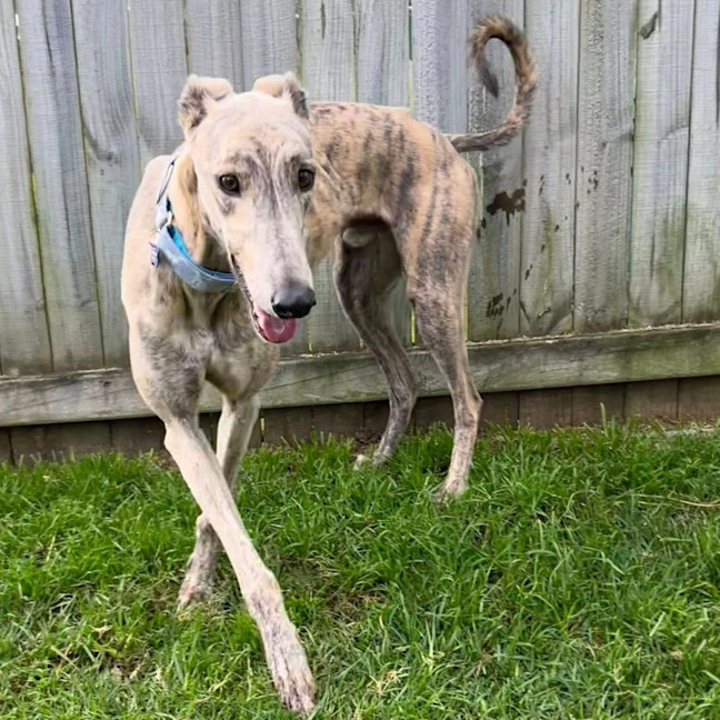 Photo of Spud
