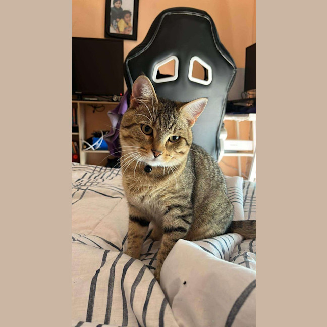 Photo of Nueve (Nui)