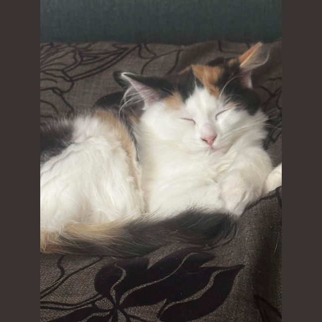 Photo of Rosie Mae