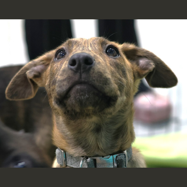 Photo of Sherbie