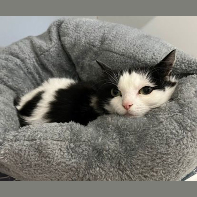 Photo of Wednesday