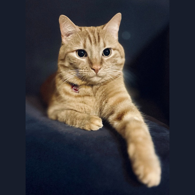 Photo of Garth