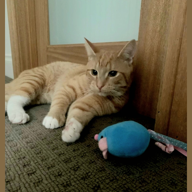 Photo of Sammy