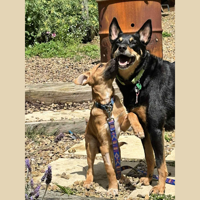 Photo of Gabby