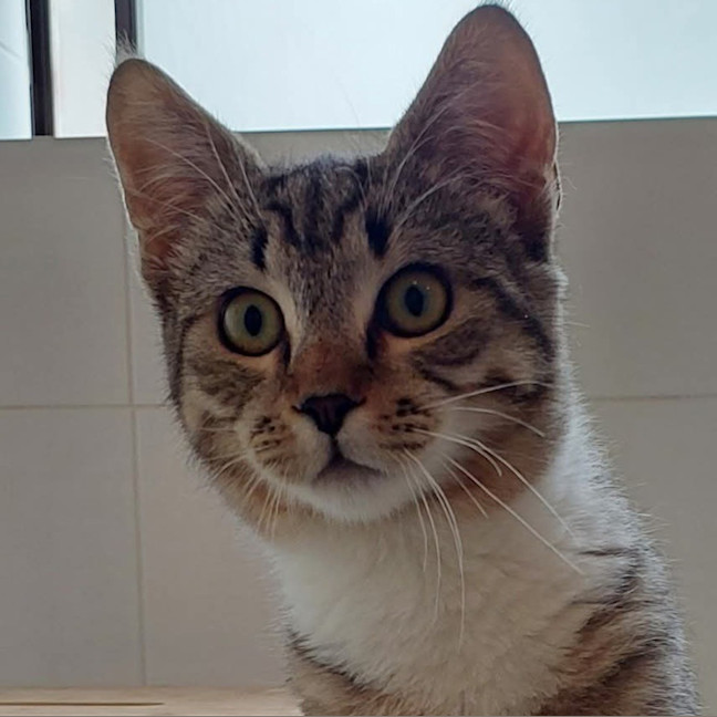 Photo of Roo