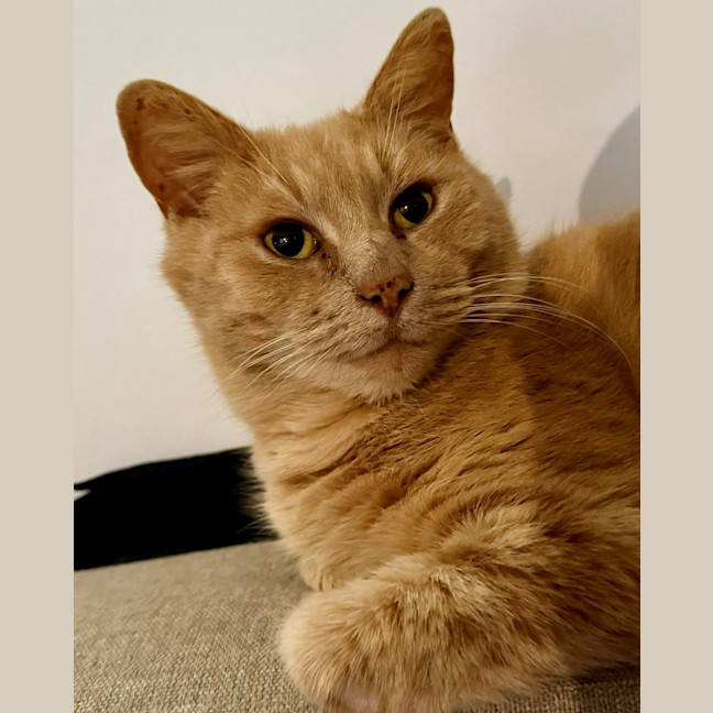 Photo of Matthias