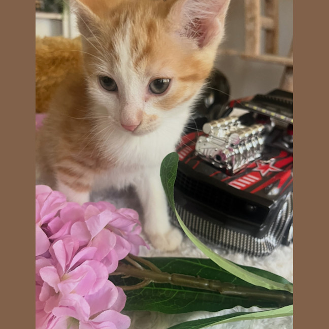 Photo of Charlie
