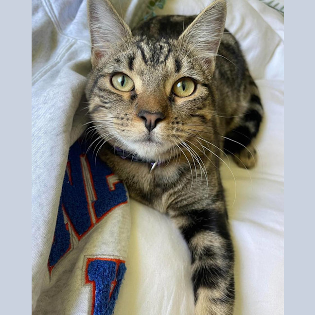 Photo of Tiga & Winnie 