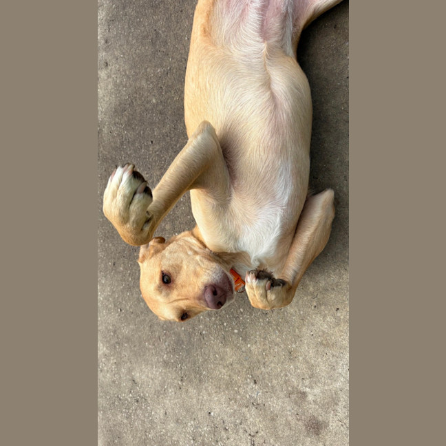Photo of Lucy