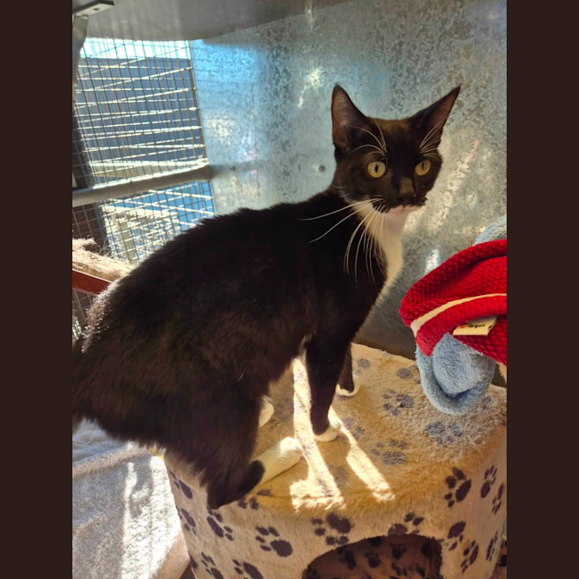Photo of Kala! 🖤