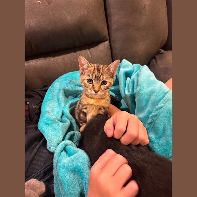 Photo of Daisey