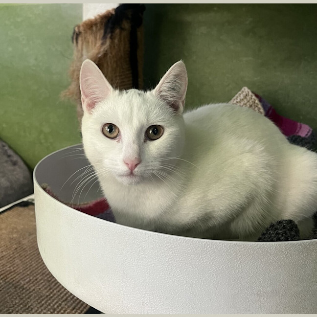 Photo of Sofie
