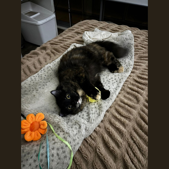 Photo of Hazel