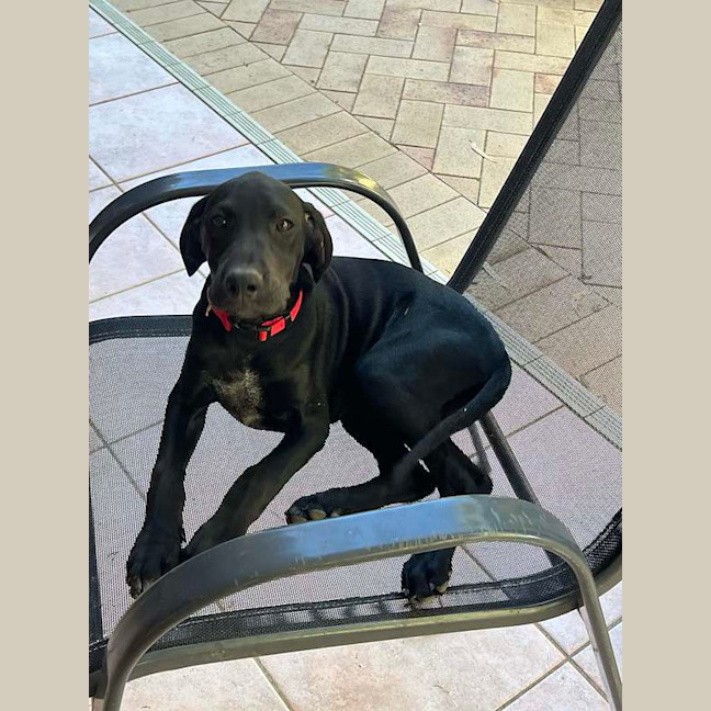 Photo of Reggie