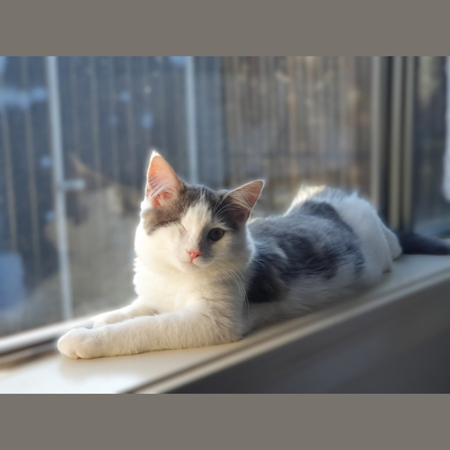 Photo of Pablo Moriarty