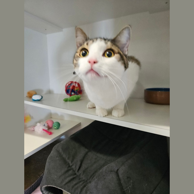 Photo of Gus