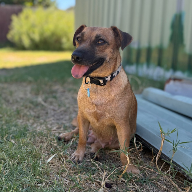 Photo of Maisey