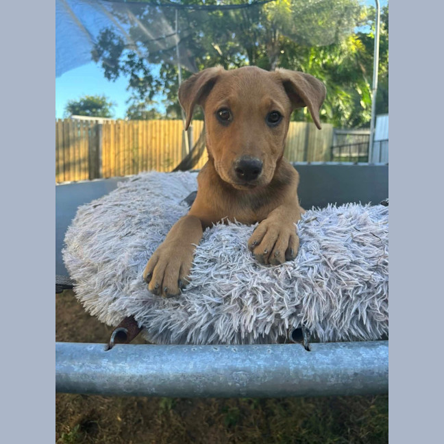 Photo of Winny (P21)