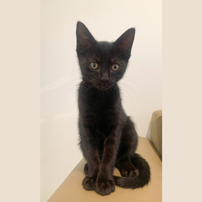 Photo of 🥰 Davis 🥰