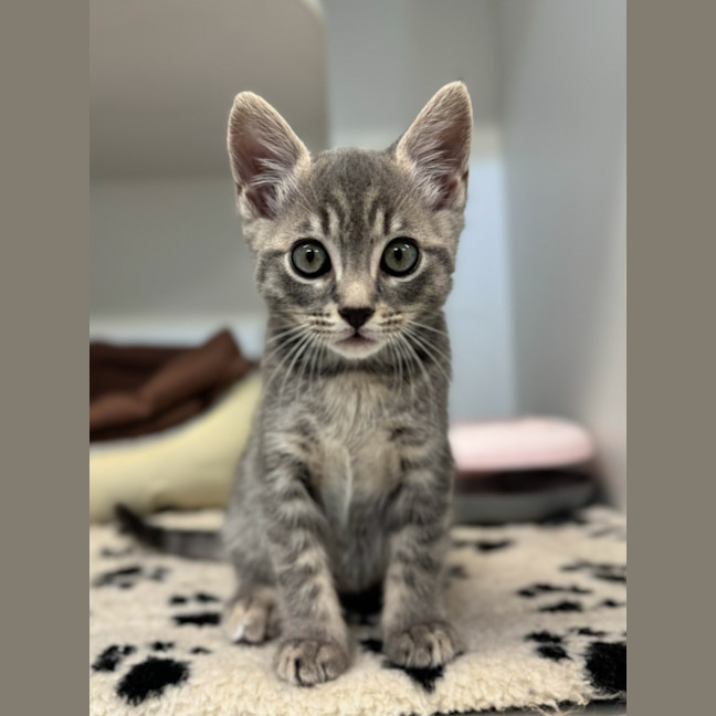 Photo of Monty