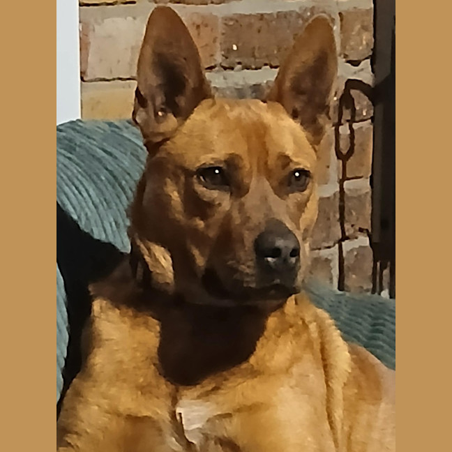 Photo of Twix 