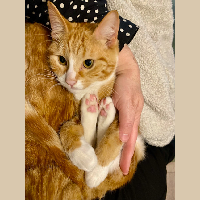 Photo of Benji And Thor