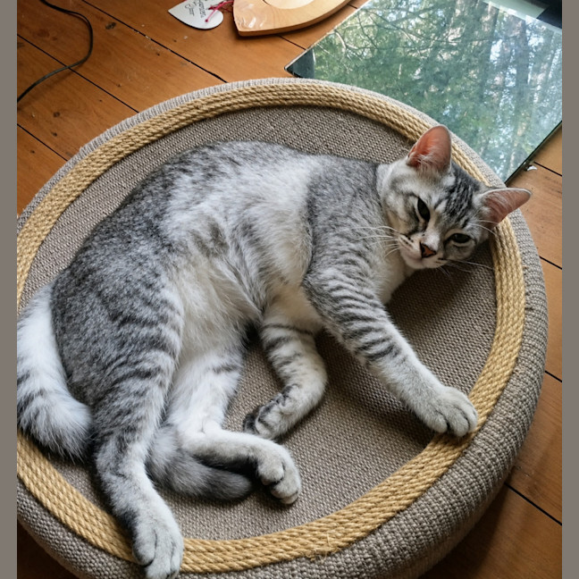 Photo of Bounty