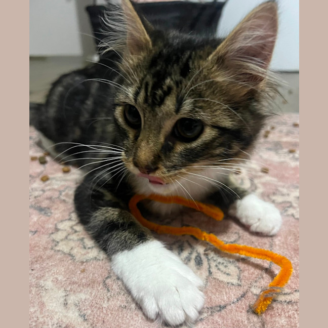 Photo of Morgan   Located In Grantville