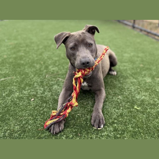 Photo of Spirit Imp 2997