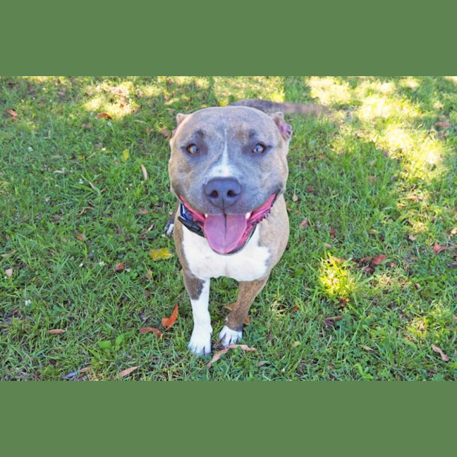 Photo of Storm