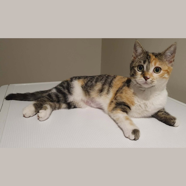 Photo of Nora