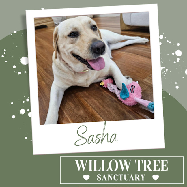 Photo of Sasha