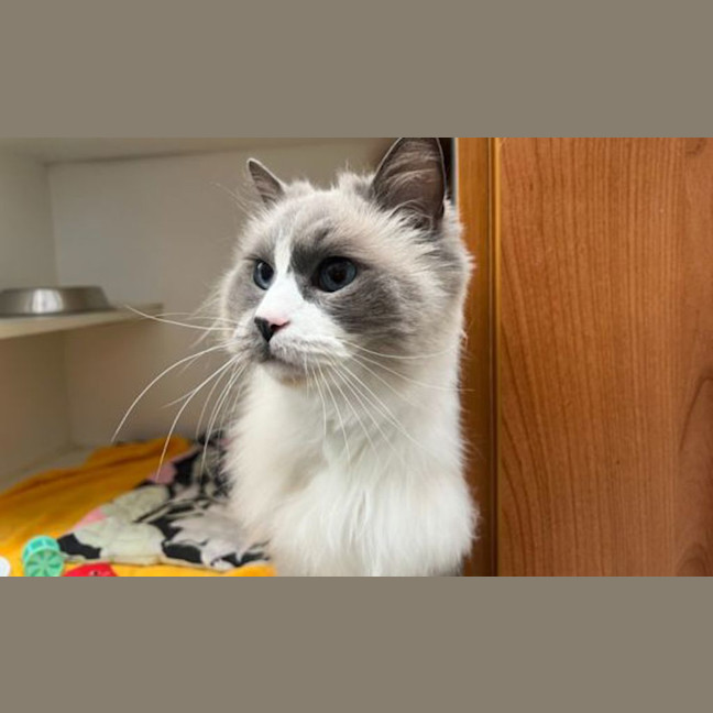 Photo of Mr. Ramekin 