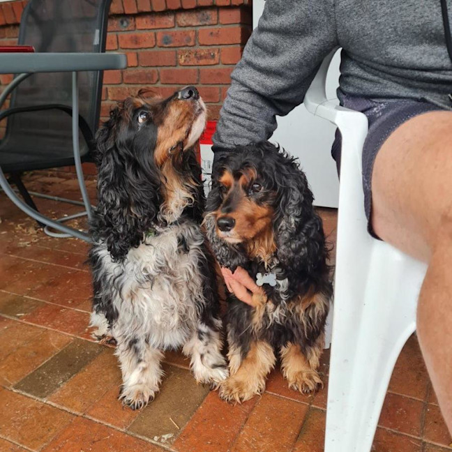 Photo of Patch And Ruby Ingalls