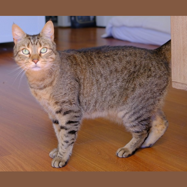 Photo of Luna