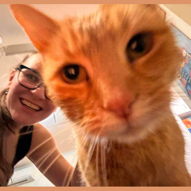 Photo of Waffles