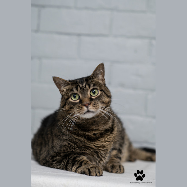 Photo of Turbo
